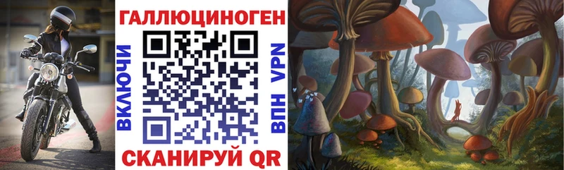 магазин наркотиков Чухлома ОМГ ОМГ tor Галлюциногенные грибы GOLDEN TEACHER