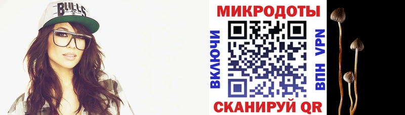 Псилоцибиновые грибы Psilocybe Чухлома